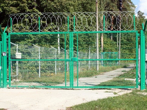 распашные ворота махаон стандарт